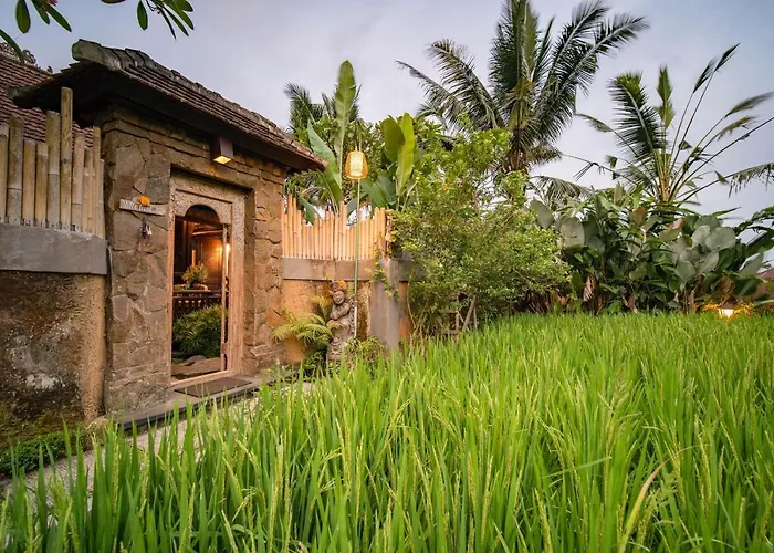 فيلة نيني